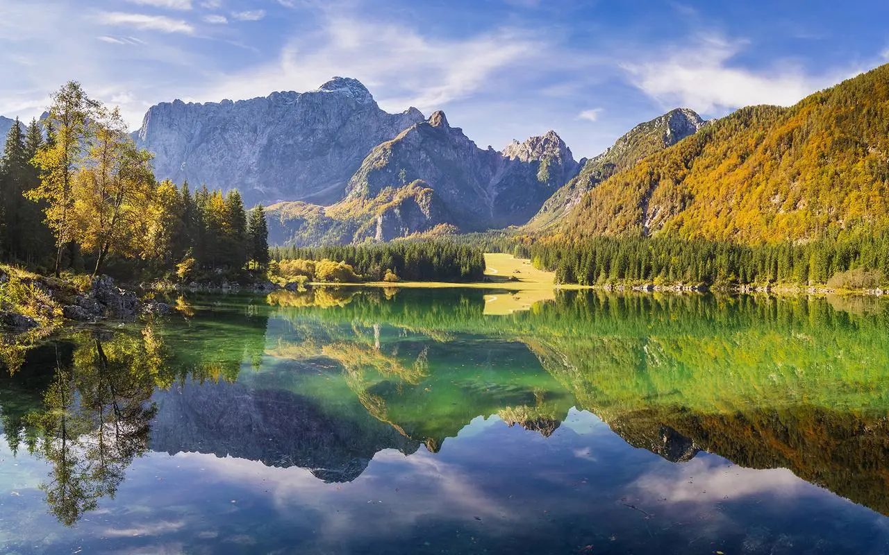 创新稳定性全自动